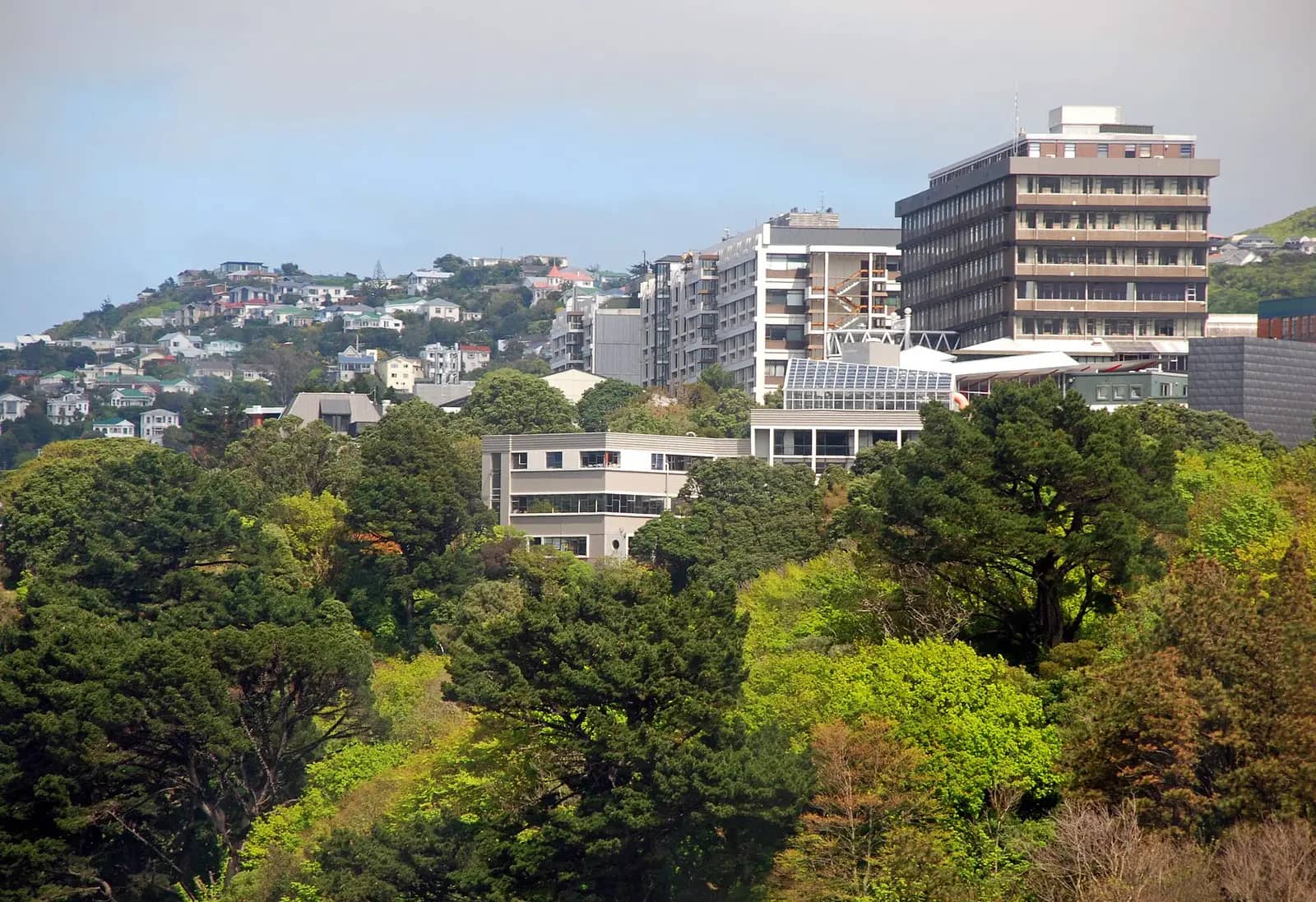 Te Herenga Waka—Victoria University of Wellington campus — Kelburn Campus, Victoria University of Wellington